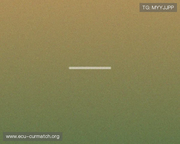 埃及对伊朗反击战术揭秘:世界杯比赛中如何实现高效反击策略